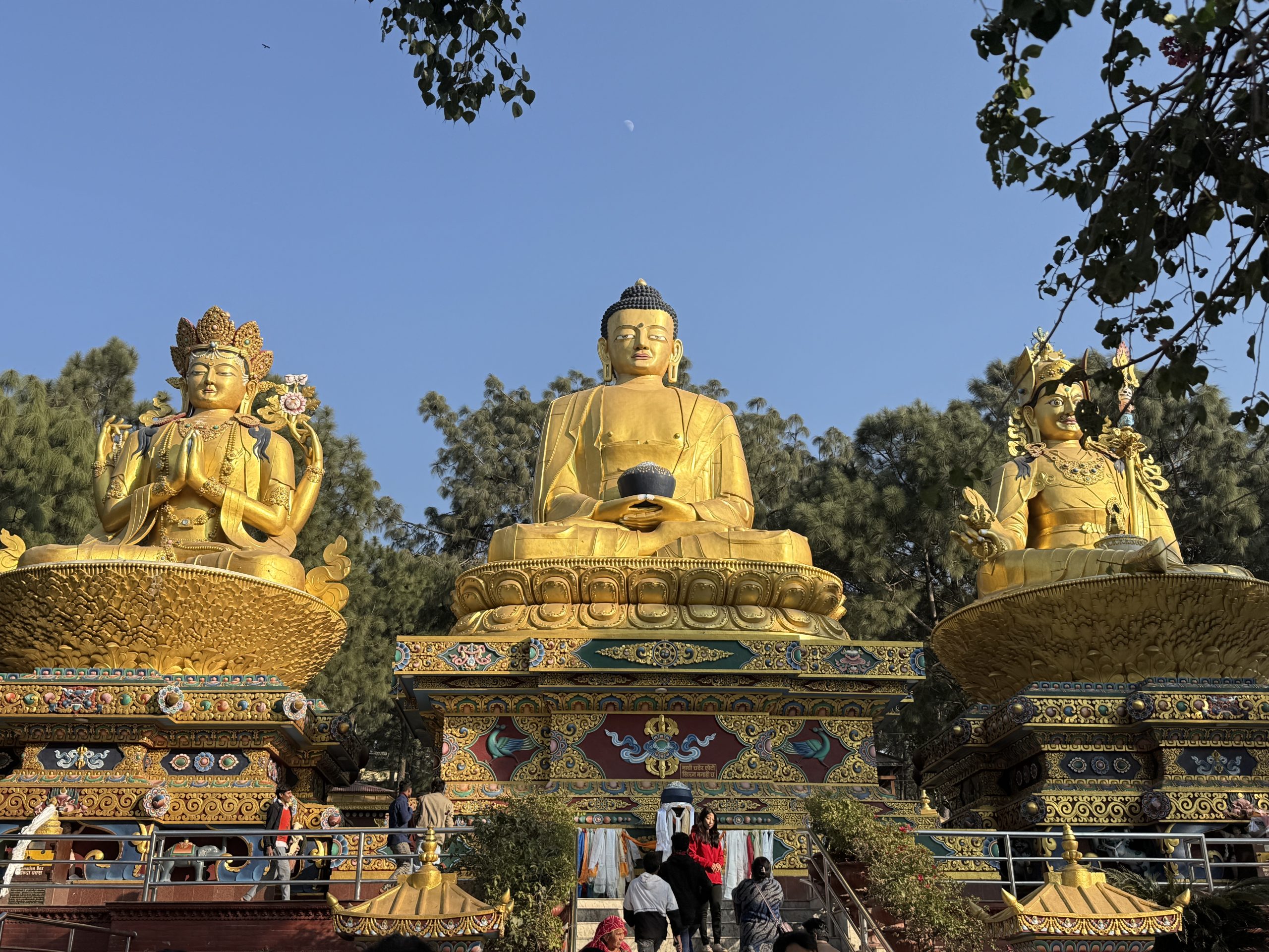 Nepal Deluxe Trip By MSTY