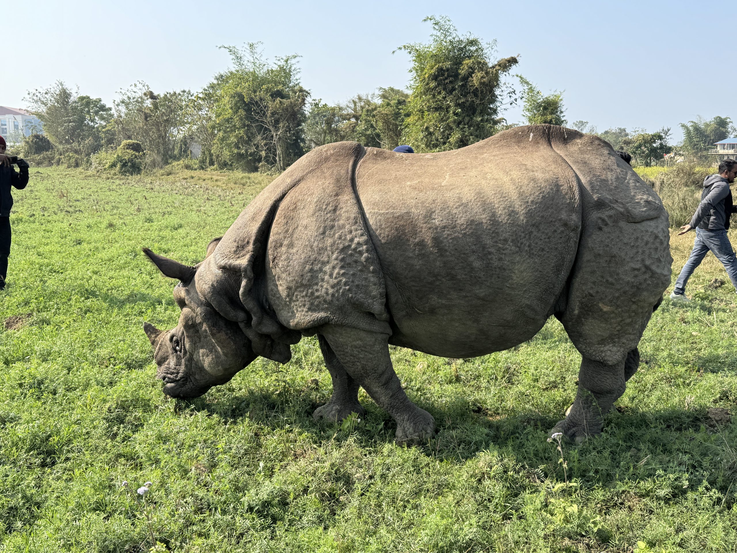 Nepal Deluxe Trip By MSTY