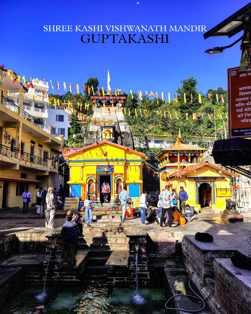 WhatsApp Image 2026-02-02 at 19.43.11